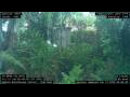 Webcam Nakhon Ratchasima (Korat)