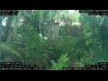 Webcam Nakhon Ratchasima (Korat)