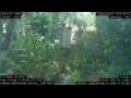 Webcam Nakhon Ratchasima (Korat)