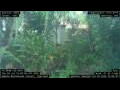 Webcam Nakhon Ratchasima (Korat)