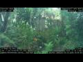 Webcam Nakhon Ratchasima (Korat)