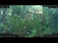 Webcam Nakhon Ratchasima (Korat)
