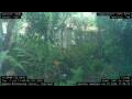 Webcam Nakhon Ratchasima (Korat)