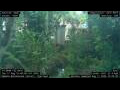 Webcam Nakhon Ratchasima (Korat)