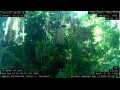 Webcam Nakhon Ratchasima (Korat)