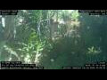 Webcam Nakhon Ratchasima (Korat)