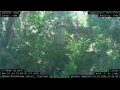 Webcam Nakhon Ratchasima (Korat)