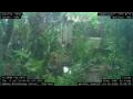 Webcam Nakhon Ratchasima (Korat)