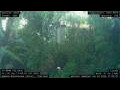 Webcam Nakhon Ratchasima (Korat)