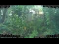 Webcam Nakhon Ratchasima (Korat)