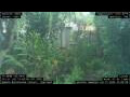 Webcam Nakhon Ratchasima (Korat)