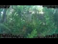 Webcam Nakhon Ratchasima (Korat)