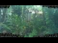 Webcam Nakhon Ratchasima (Korat)