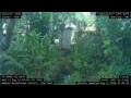 Webcam Nakhon Ratchasima (Korat)
