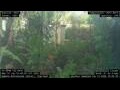 Webcam Nakhon Ratchasima (Korat)