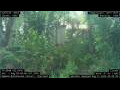 Webcam Nakhon Ratchasima (Korat)