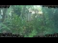 Webcam Nakhon Ratchasima (Korat)