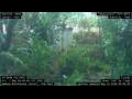 Webcam Nakhon Ratchasima (Korat)