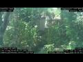 Webcam Nakhon Ratchasima (Korat)