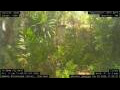 Webcam Nakhon Ratchasima (Korat)