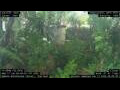 Webcam Nakhon Ratchasima (Korat)
