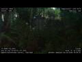 Webcam Nakhon Ratchasima (Korat)