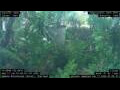 Webcam Nakhon Ratchasima (Korat)