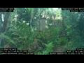 Webcam Nakhon Ratchasima (Korat)