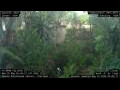 Webcam Nakhon Ratchasima (Korat)