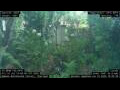 Webcam Nakhon Ratchasima (Korat)