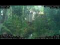 Webcam Nakhon Ratchasima (Korat)