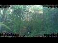 Webcam Nakhon Ratchasima (Korat)