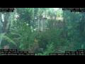 Webcam Nakhon Ratchasima (Korat)