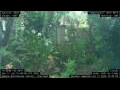Webcam Nakhon Ratchasima (Korat)