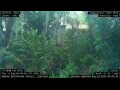 Webcam Nakhon Ratchasima (Korat)