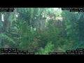 Webcam Nakhon Ratchasima (Korat)