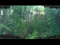 Webcam Nakhon Ratchasima (Korat)
