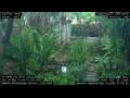 Webcam Nakhon Ratchasima (Korat)
