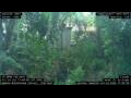 Webcam Nakhon Ratchasima (Korat)