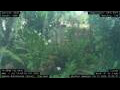 Webcam Nakhon Ratchasima (Korat)
