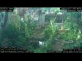 Webcam Nakhon Ratchasima (Korat)