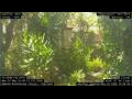 Webcam Nakhon Ratchasima (Korat)