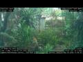 Webcam Nakhon Ratchasima (Korat)