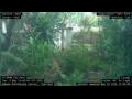 Webcam Nakhon Ratchasima (Korat)
