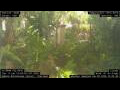 Webcam Nakhon Ratchasima (Korat)