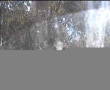 Webcam Malaga