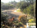 Webcam Port Douglas