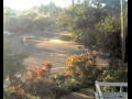 Webcam Port Douglas