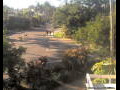 Webcam Port Douglas