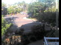 Webcam Port Douglas
